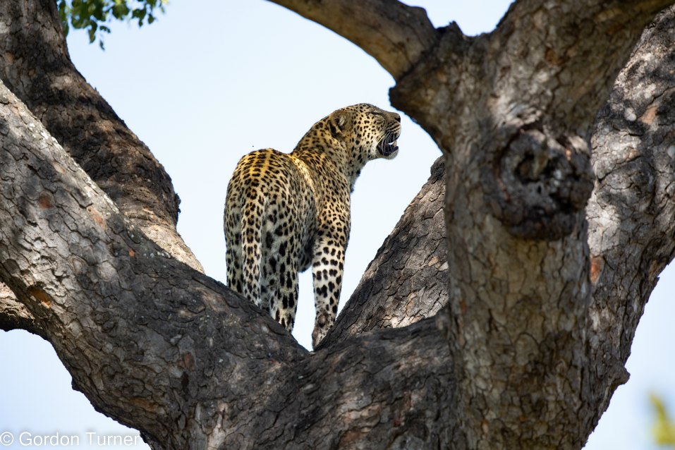 <h2>The Best of South Africa Escorted 2023</h2> 14 Nights | 6 Rounds | March 11 - 25